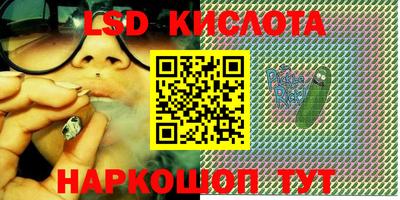прущие грибы Шахты