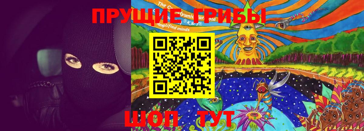 Галлюциногенные грибы Cubensis  хочу наркоту  Вход с VPN  Таганрог  Галлюциногенные грибы ЛСД 